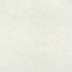 Ariel